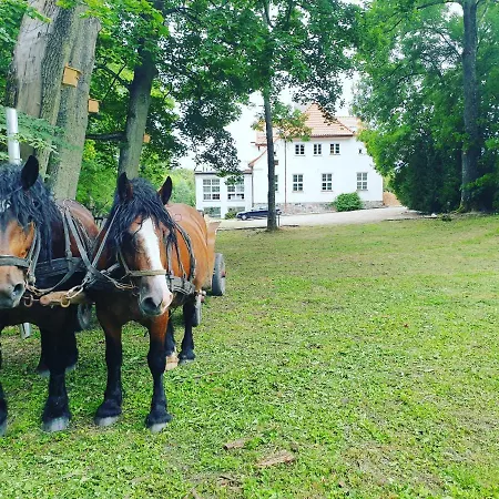 Dwor Nad Jeziorem W Bieniaszach Bed & Breakfast *