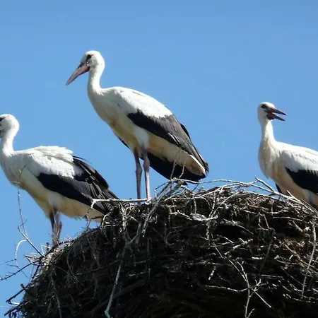 Dwor Nad Jeziorem W Bieniaszach Milakowo